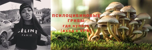 скорость Алзамай
