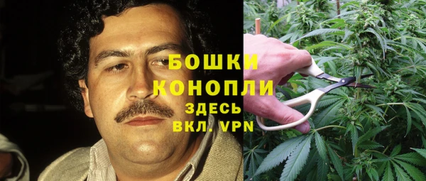 Альфа ПВП Армянск