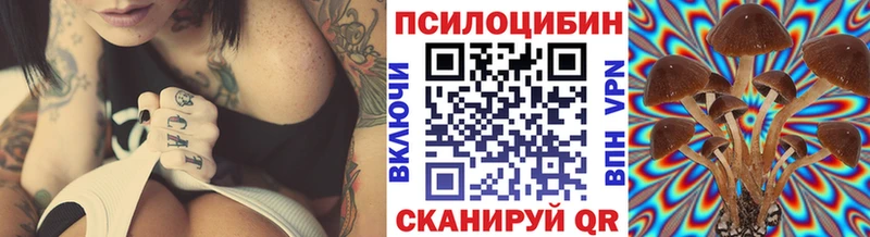 Галлюциногенные грибы Psilocybine cubensis  Купить закладки  Калининград 